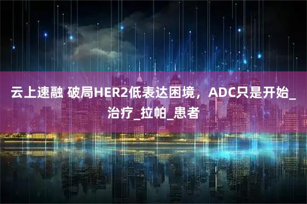 云上速融 破局HER2低表达困境，ADC只是开始_治疗_拉帕_患者