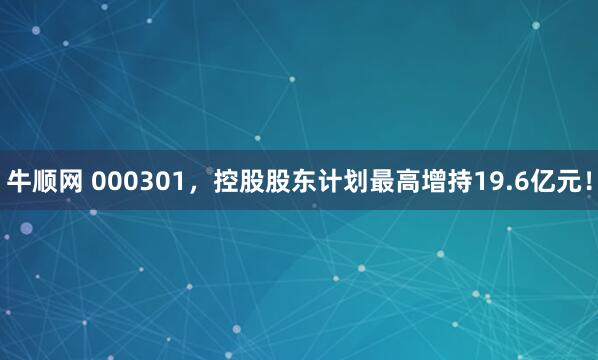 牛顺网 000301，控股股东计划最高增持19.6亿元！
