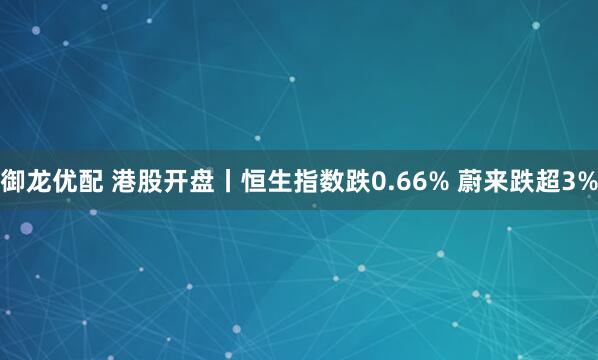 御龙优配 港股开盘丨恒生指数跌0.66% 蔚来跌超3%